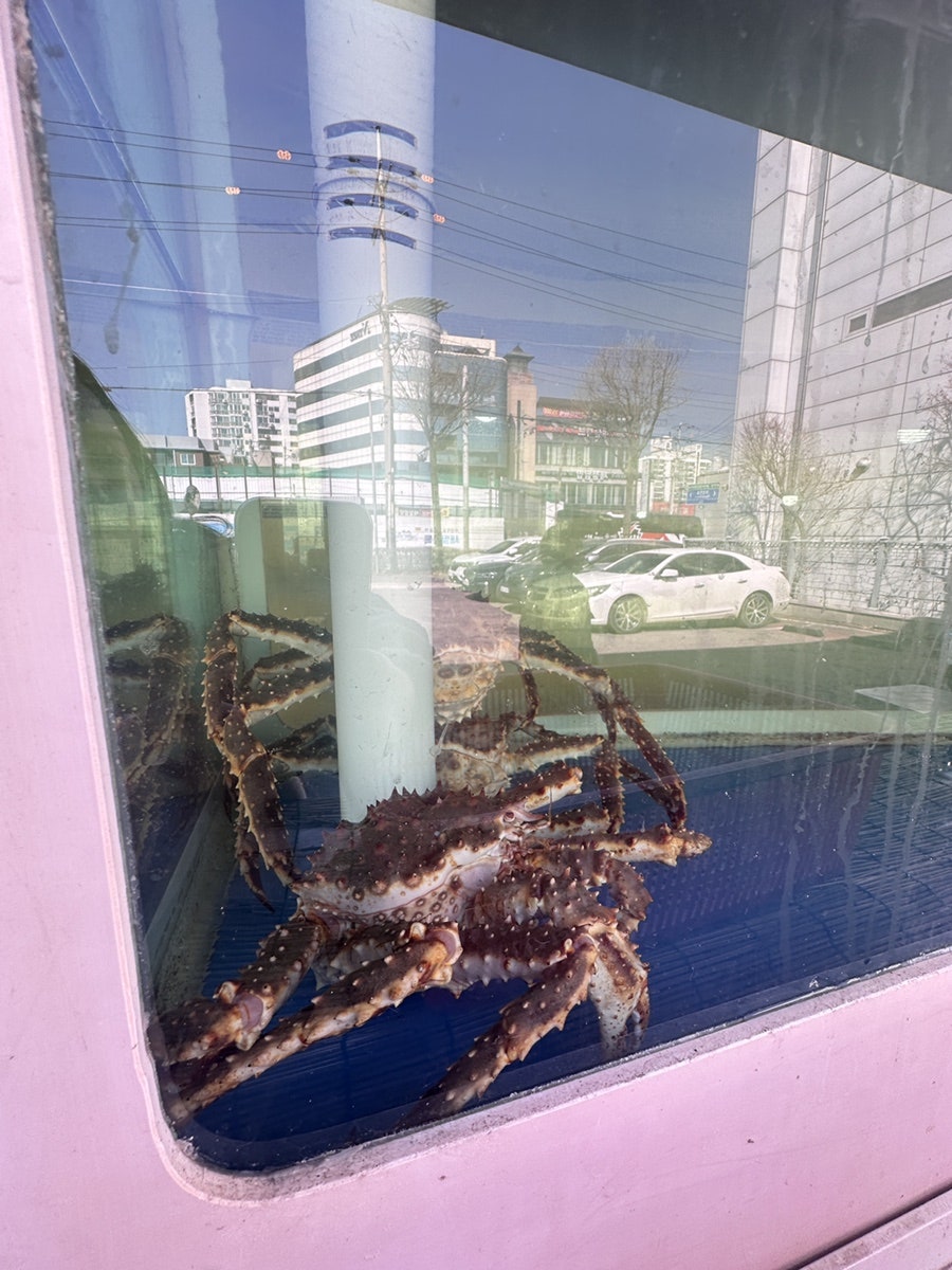 신나는대게파티 삼보무역직영점 사진 6