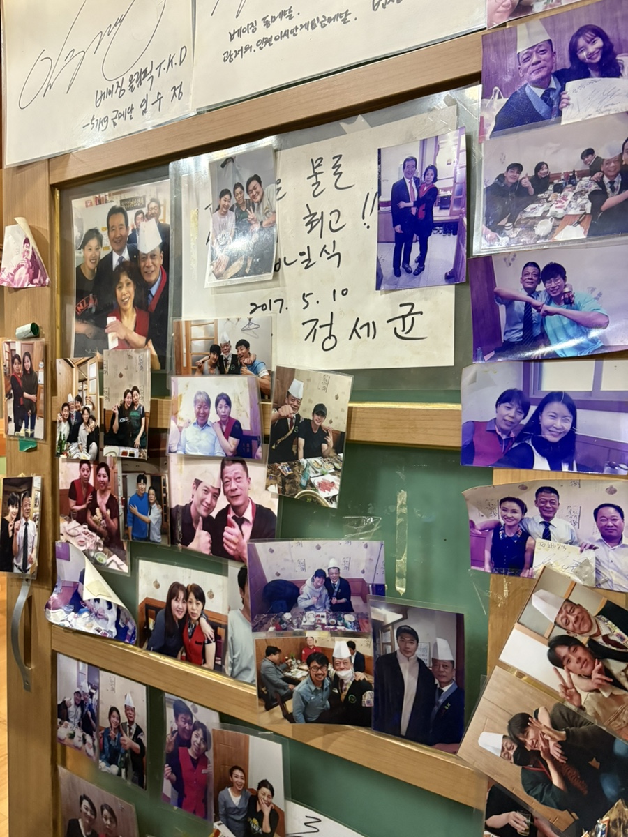 노바일식 사진 1