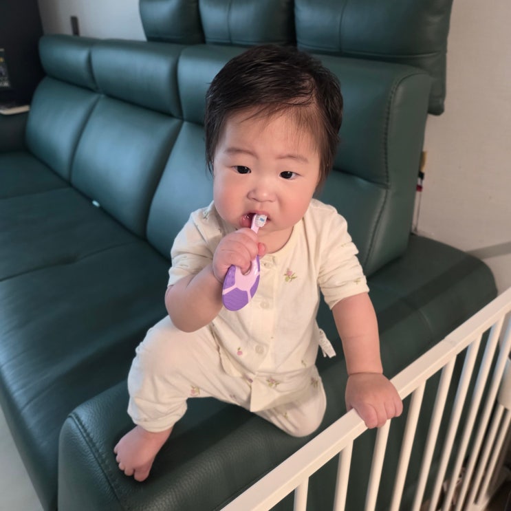  6개월 아기 양치 언제부터, 첫 칫솔 추천 조르단 1단계 및 블랑키즐 고불소치약 실사용 후기