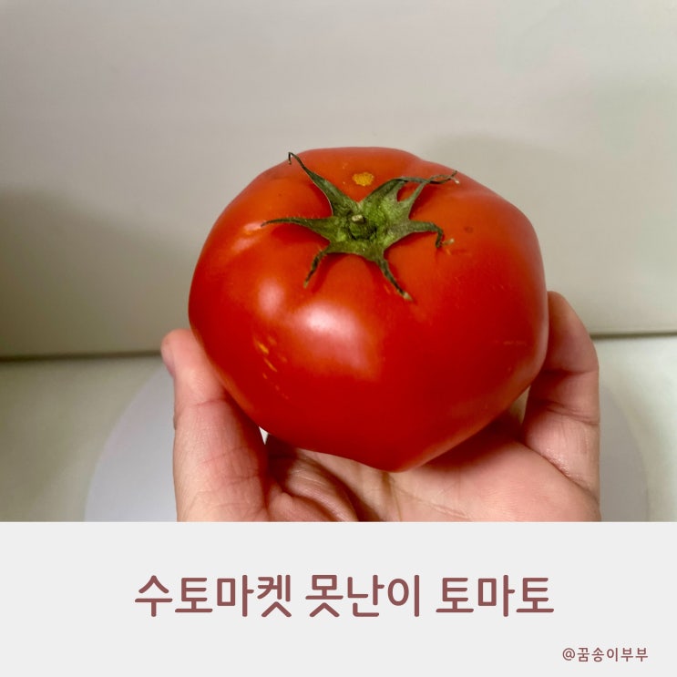  수토마켓 못난이 토마토 농부의 진심이 담긴 건강한 맛