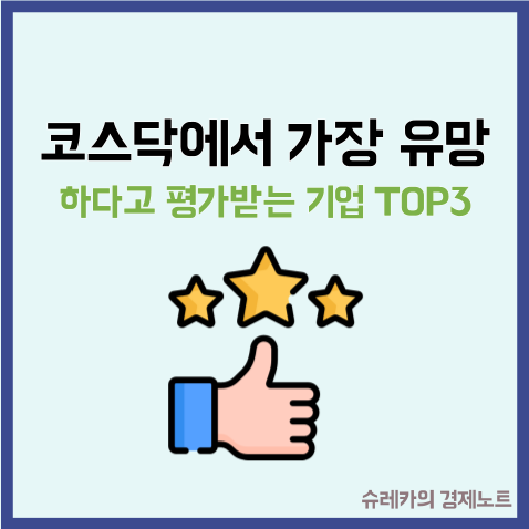  현재 코스닥에서 가장 유망하다고 평가하는 기업 TOP3