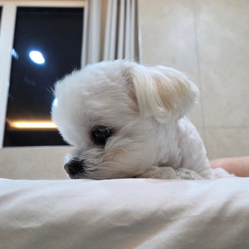 송스테이
