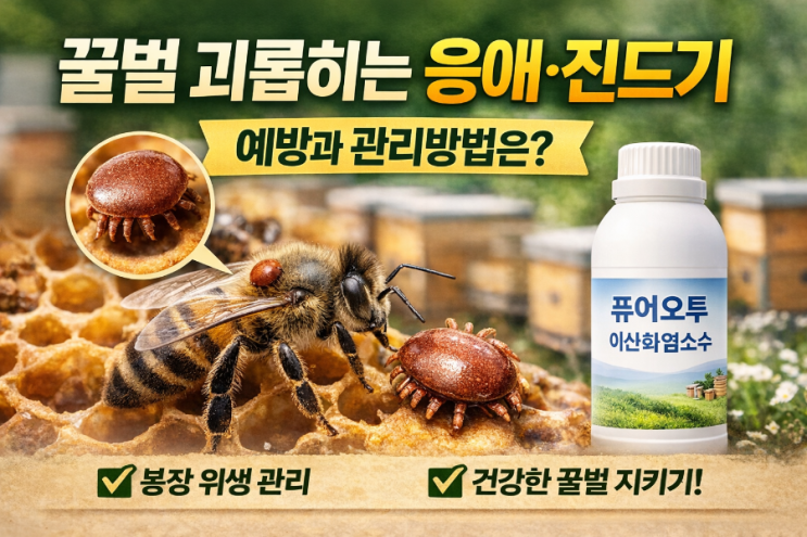  꿀벌을 위협하는 응애·진드기… 발생 원인과 친환경 봉장 관리 방법