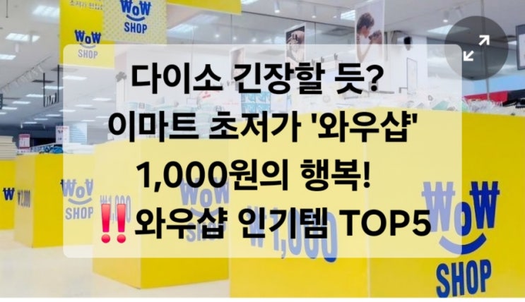  다이소 긴장할 듯? 이마트 초저가 '와우샵' 1,000원의 행복! / 와우샵 인기 추천템Top5