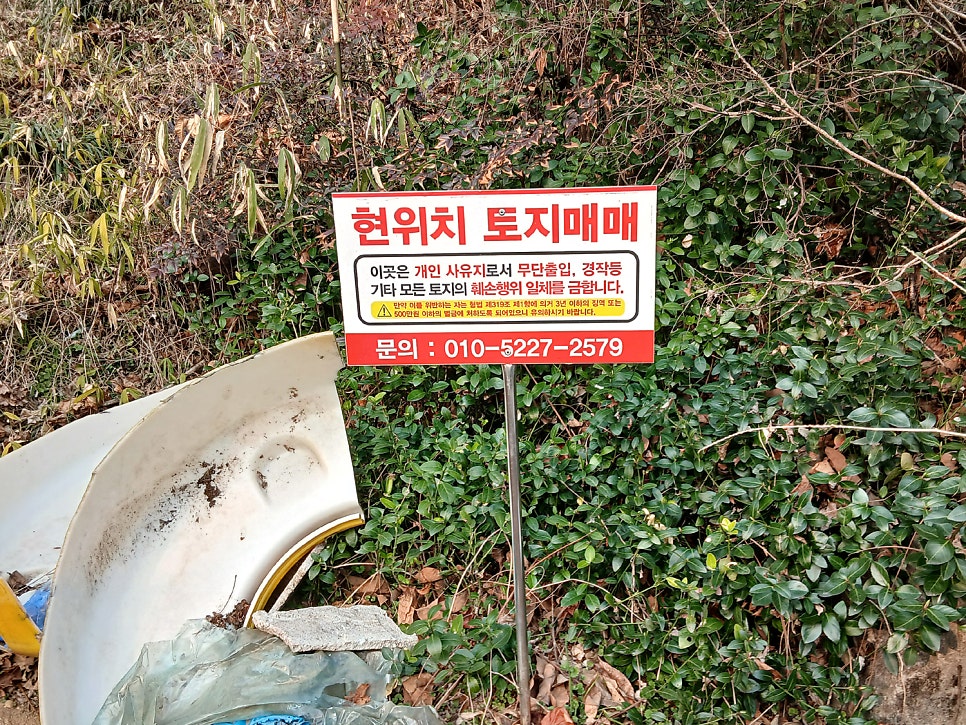 연래춘 사진 5