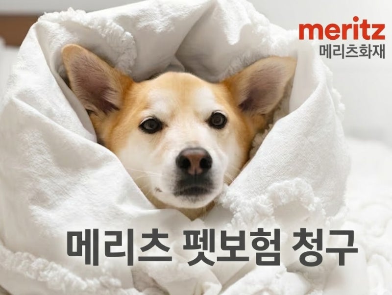 메리츠 펫보험 청구 바로가기｜모바일청, 고객센터, 청구서류