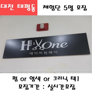 대전 태평동 에이치원헤어 프리미엄 펌 or 염색 or 크리닉 or 복구크리닉 or 복구펌 택1 이용권