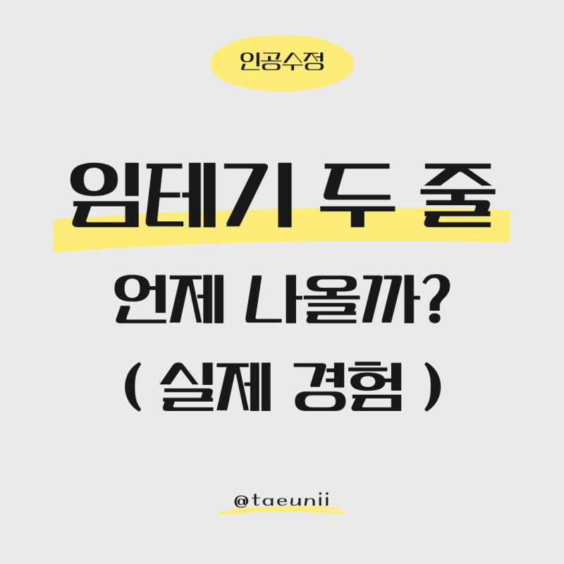 인공수정 임테기 언제부터 두 줄 나올까? (며칠 후·착상 시기 실제 경험)