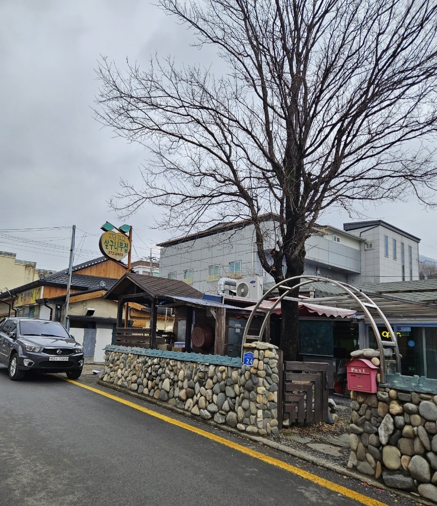 살구나무집 사진 1