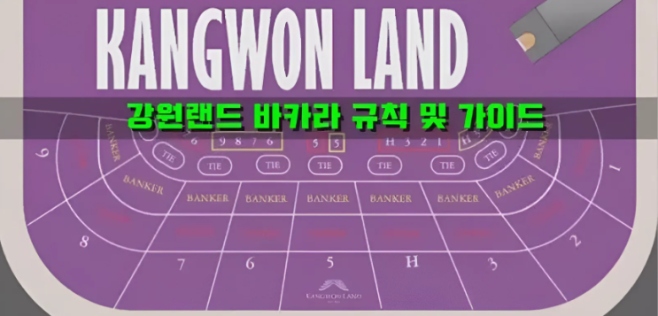  강원랜드 바카라에 대해서