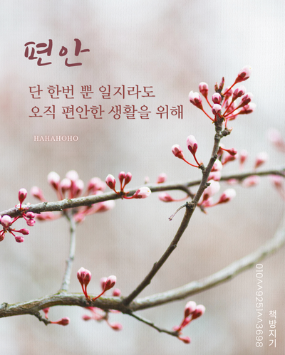 화성 송산 새솔동 중고책 헌책 방문 매입 수거로 쉽게 처분하기