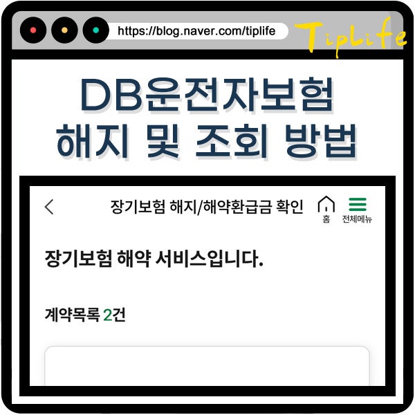 db운전자보험 해지 및 조회 (가입 내역 담보) 방법 후기
