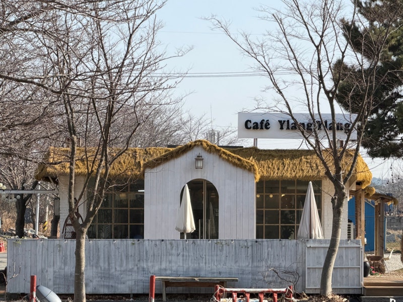 사진 5