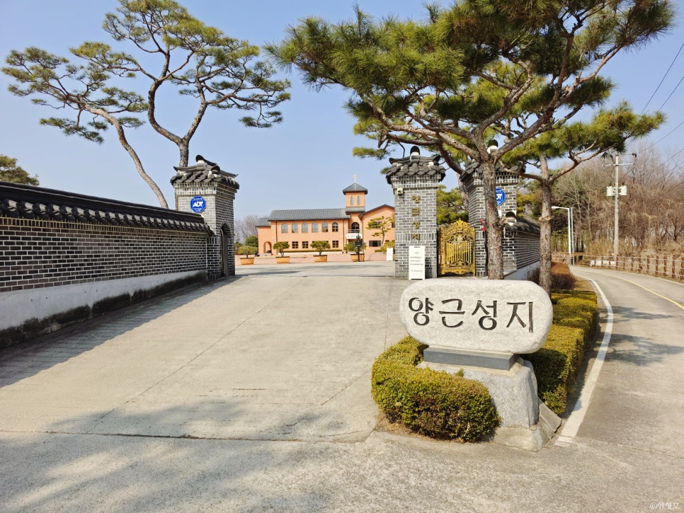 떠드렁섬 사진 3