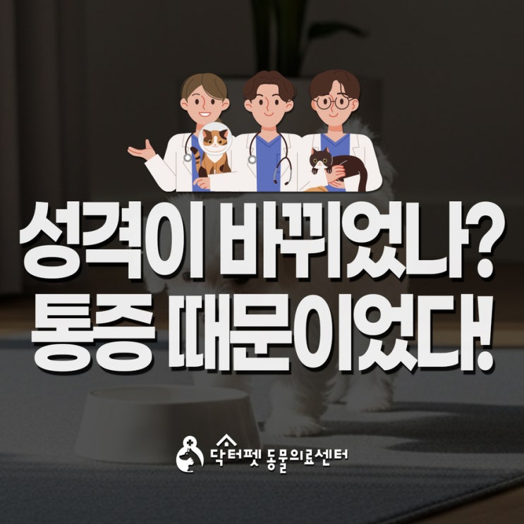  강아지가 갑자기 사나워졌어요! 사실 아픈 건 아닐까? 통증관리