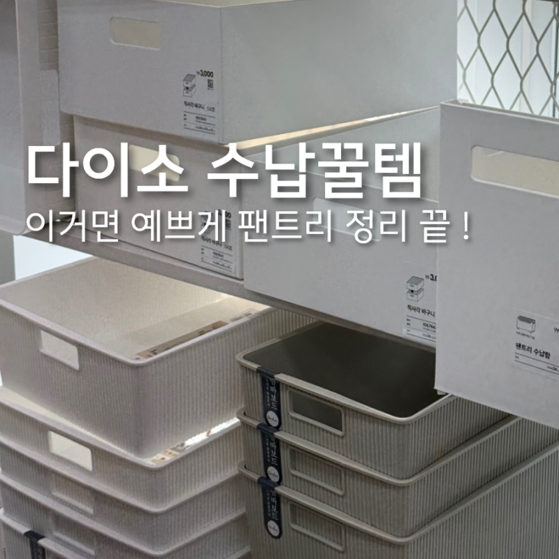 다이소 펜트리 수납함 투명 서랍 등 정리템 5가지 후기