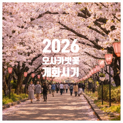  2026년 오사카 벚꽃, 언제 피는지 궁금하셨죠?