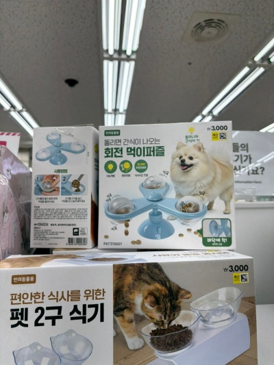 사진 5