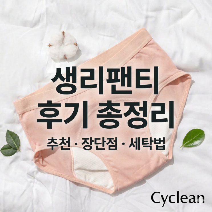  생리팬티 추천 후기: 장단점 비교부터 세탁법까지 총정리