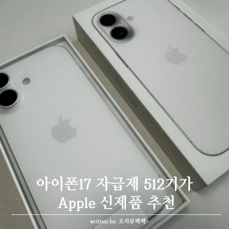 아이폰17 자급제 512기가 Apple 신제품 추천