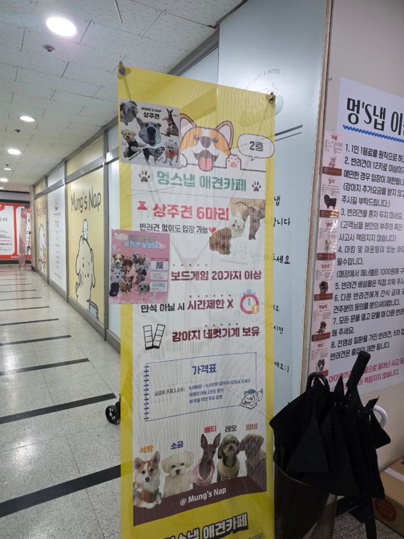 멍스냅
