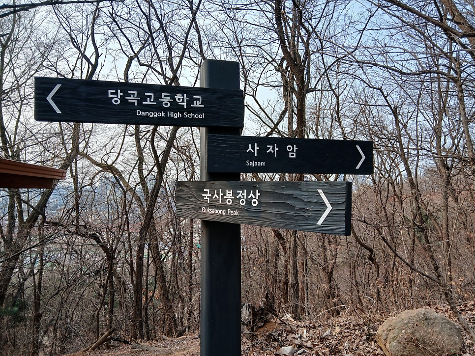 연래춘 사진 6