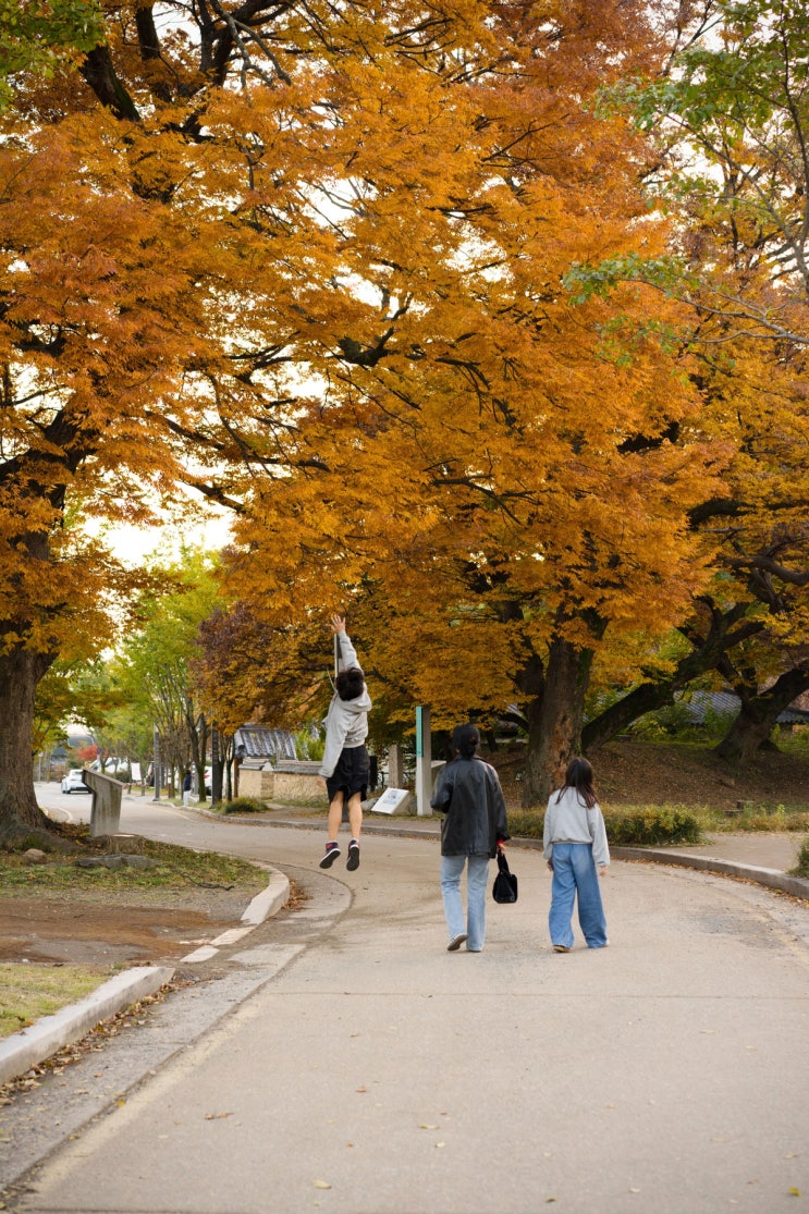  대구 옻골마을｜경주 최씨 집성촌, 옻골마을의 가을