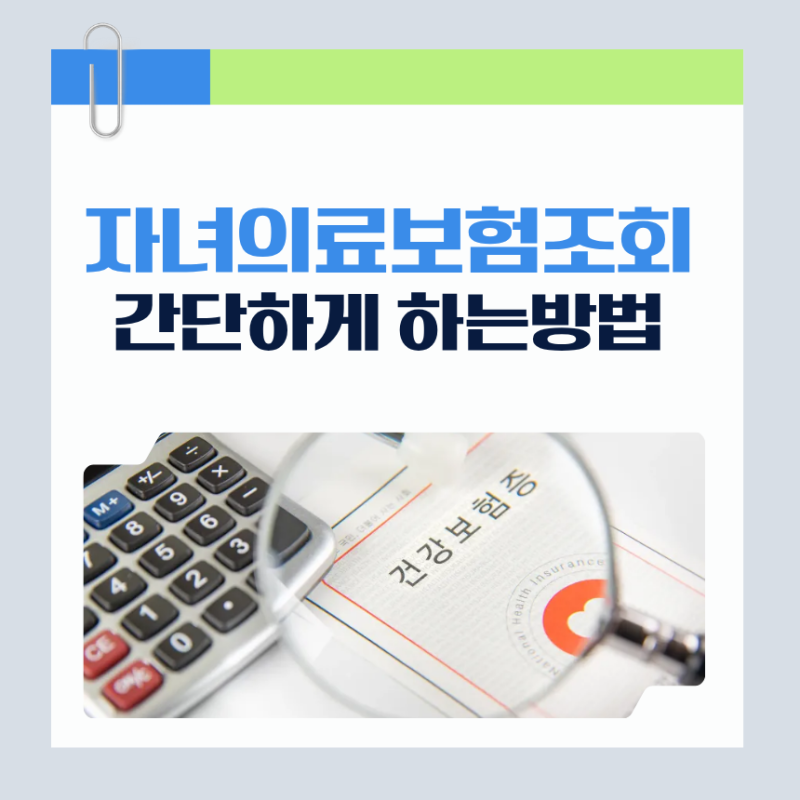 자녀 의료보험 번호 조회 방법 종류 기관 어플 모바일 부모