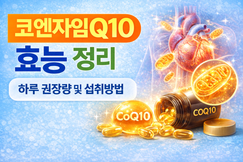 코엔자임Q10 효능 정리 (하루 권장량과 섭취 방법)
