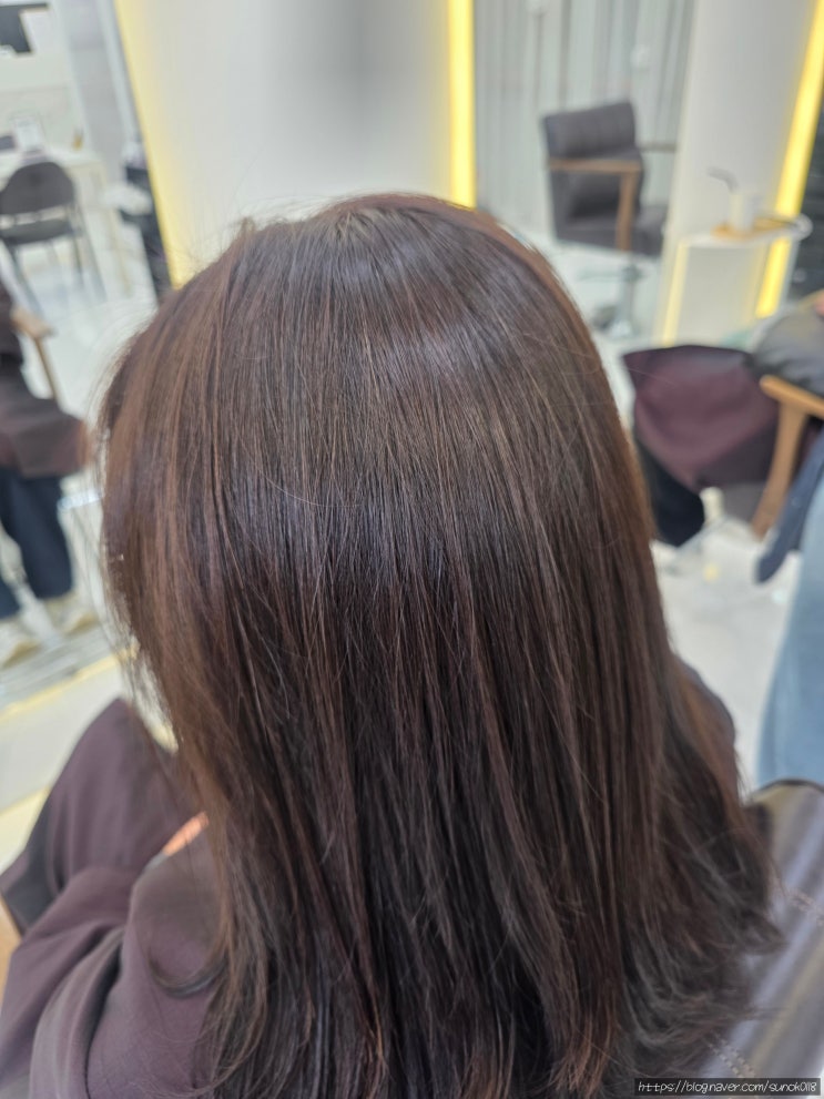  야당역미용실 보그헤어 뿌리염색 새치커버 후기