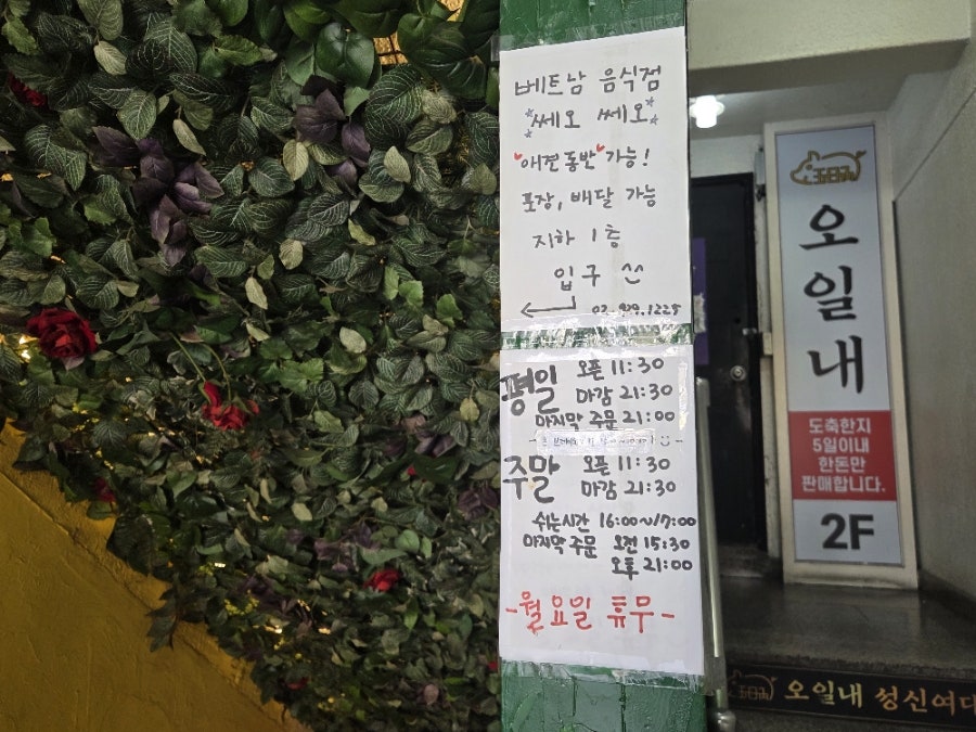 쎄오쎄오 사진 2