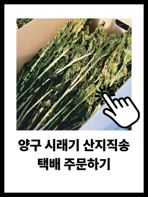솔모루가든 사진 8