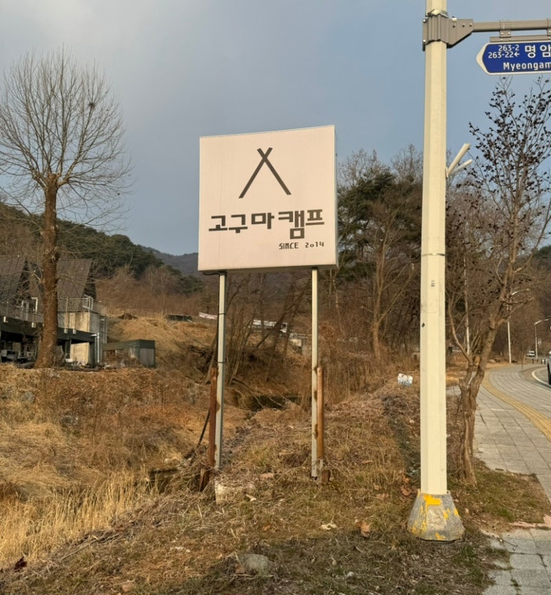 사진 6