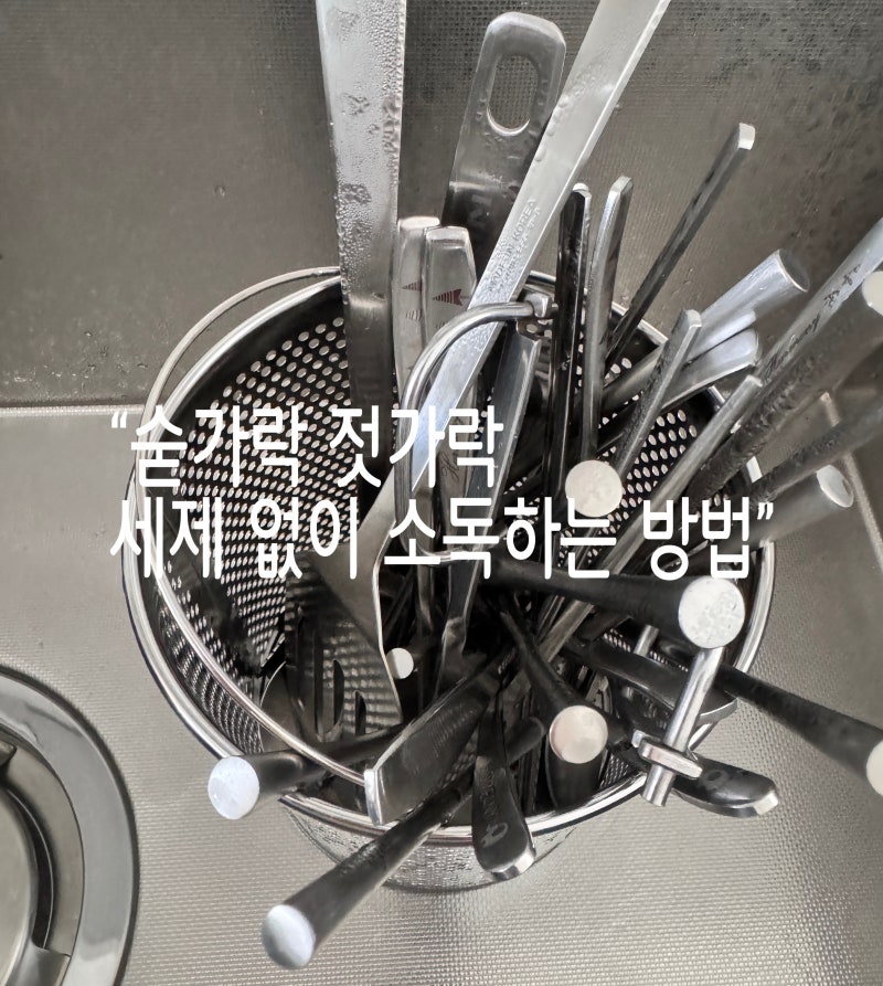 숟가락 젓가락 세제 없이 소독하는 방법 스테인리스소독 숟가락소독