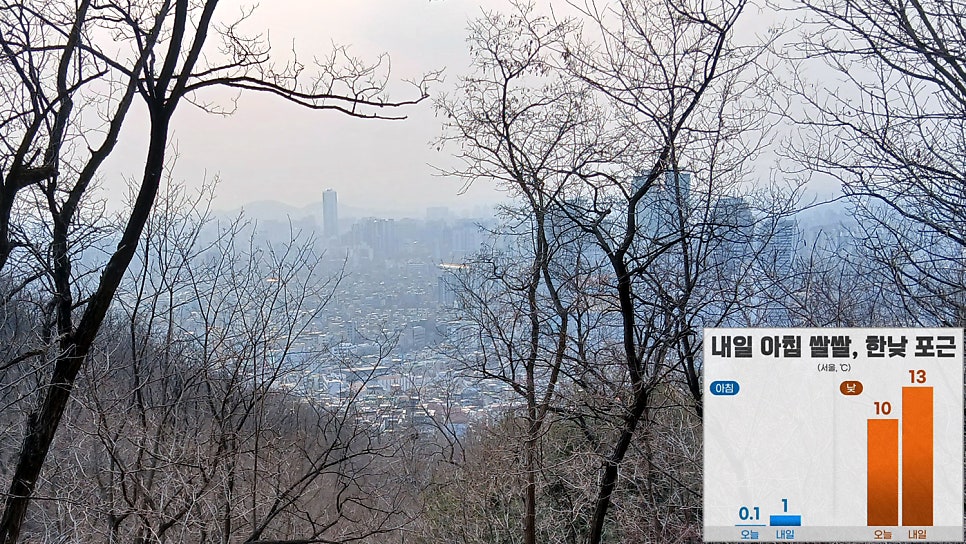 연래춘 사진 1