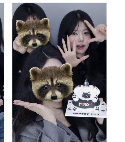 망나니의 노화