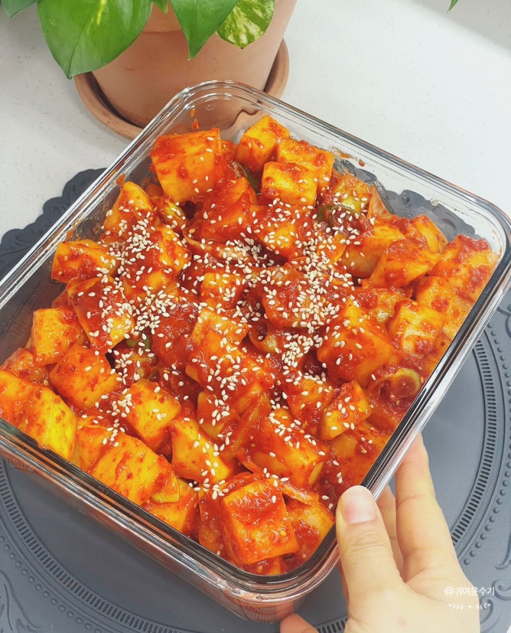  깍두기 담그는 법 제주무우 1개 담그기 시원한 국물 깍두기양념 비율 레시피