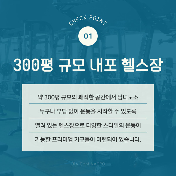 다이아짐 사진 2