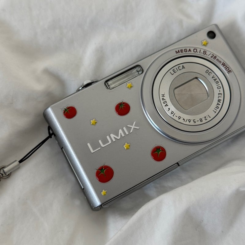 파나소닉 LUMIX DMC-FX33 디카 후기, 작례