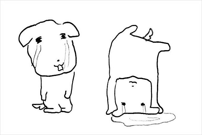 동해양푼이동태탕 사진 3