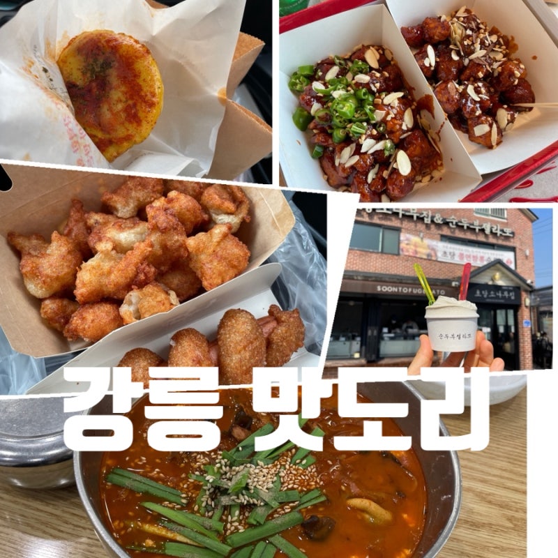사진 5
