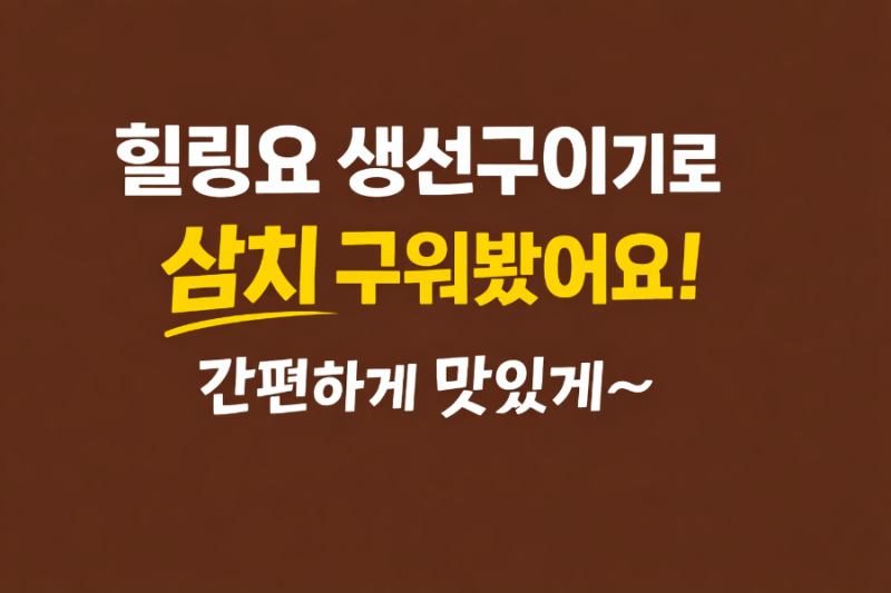 힐링요 생선구이기 삼치구이 7분이면 충분