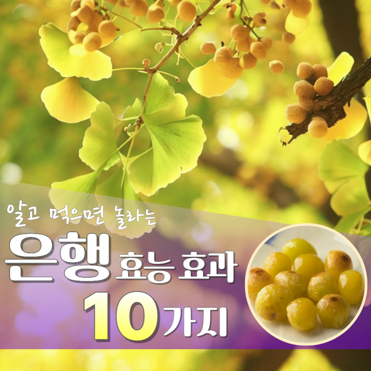  은행 효능 효과 10가지 보관법 먹는법