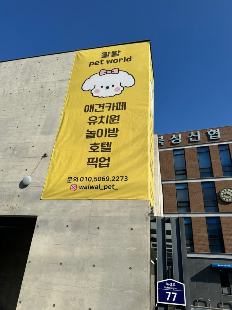 왈왈애견호텔 애견유치원