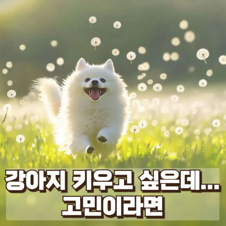  '강아지 키우고 싶은데...' 고민이라면 : 반려동물 키우기 전 반드시 고려해야 할 것들 (현실적인 체크리스트)