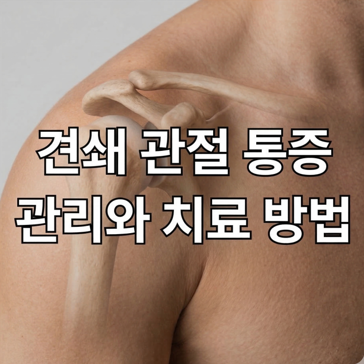  정자동 한의원 견쇄 관절 어깨 통증의 치료와 관리