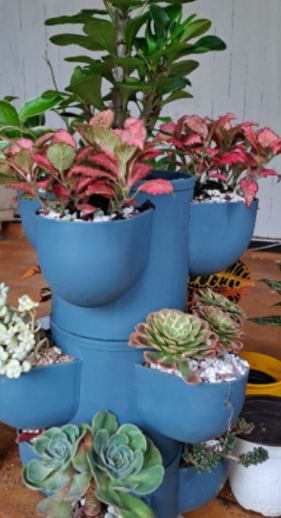 일상이 풍성하고 행복해지는 반려식물용품 전문 쇼핑몰 !