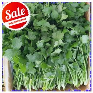 선물용 안산팜 뿌리제거 고수 [GAP인증], 1박스, 고수1kg 추천