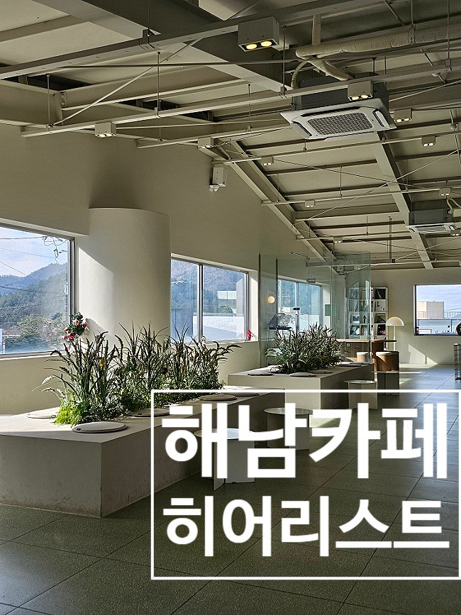 사진 5