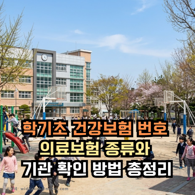 학기 초 건강보험 번호 의료보험 종류와 기관 확인 방법 총정리